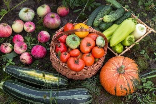 五米娱乐吃瓜,揭秘娱乐圈最新“吃瓜”热点